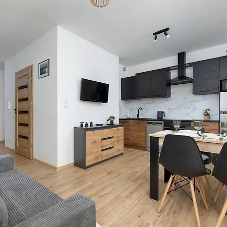 Elegant In With Garden Desk And Parking By Renters Апартаменти Ґлівіце