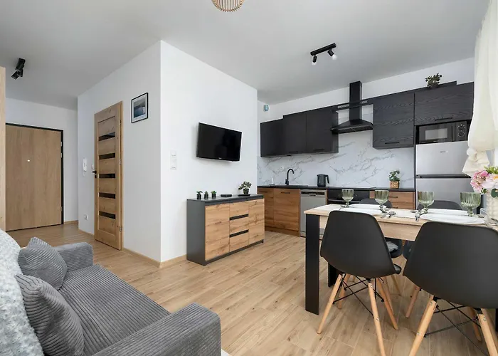 Elegant In With Garden Desk And Parking By Renters Apartment Gliwice